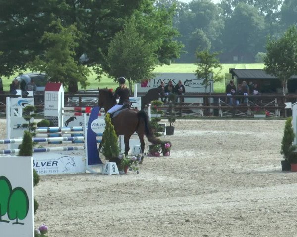 Reitturnier Kirchhellen/Stall Dieckmann 2017
