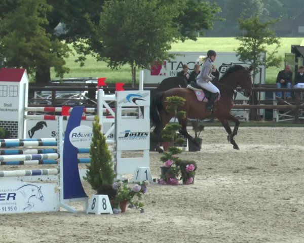 Reitturnier Kirchhellen/Stall Dieckmann 2017