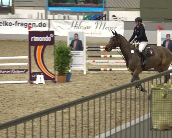 Reitturnier Luhmühlen 2021
