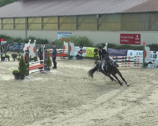 Reitturnier Kirchhellen/Stall Dieckmann 2017