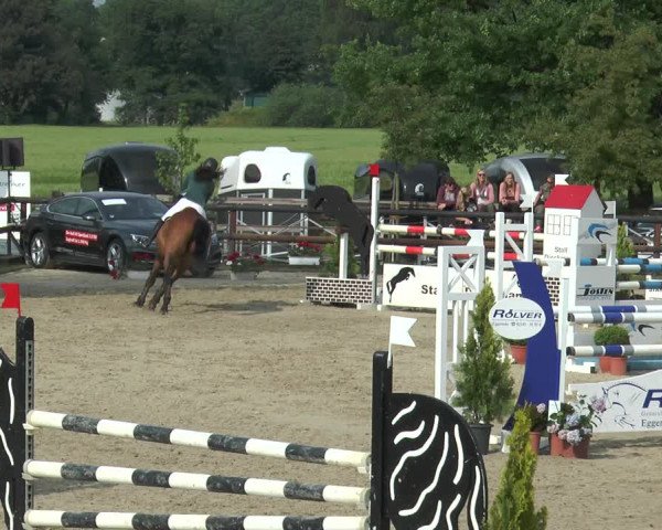 Reitturnier Kirchhellen/Stall Dieckmann 2017