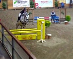 jumper Gero 144 (Hanoverian, 2010, from Glueckspilz)