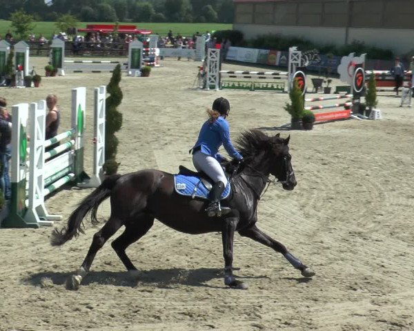 Reitturnier Kirchhellen/Stall Dieckmann 2017