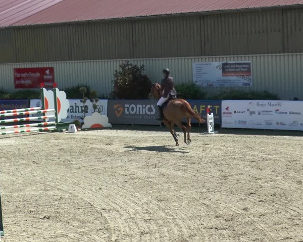 Reitturnier Kirchhellen/Stall Dieckmann 2017