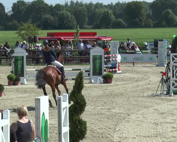 Reitturnier Kirchhellen/Stall Dieckmann 2017