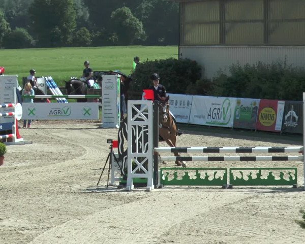 Reitturnier Kirchhellen/Stall Dieckmann 2017