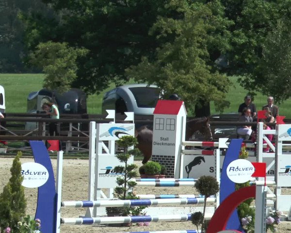 Reitturnier Kirchhellen/Stall Dieckmann 2017