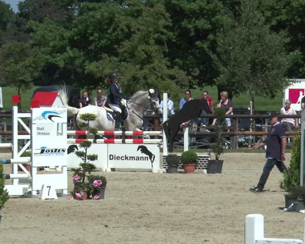 Reitturnier Kirchhellen/Stall Dieckmann 2017