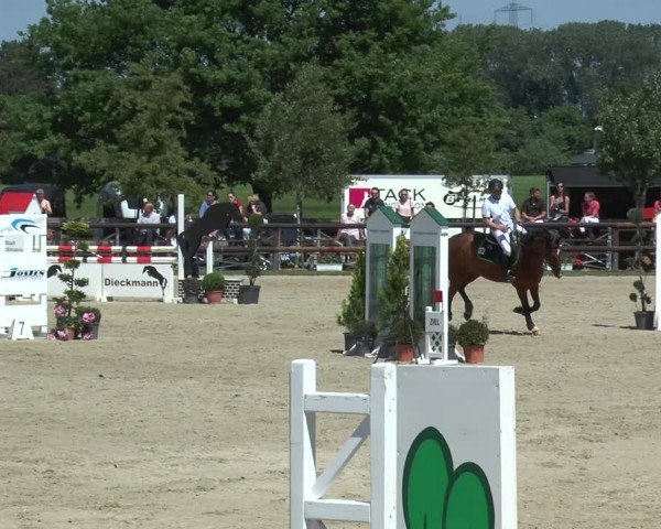 Reitturnier Kirchhellen/Stall Dieckmann 2017