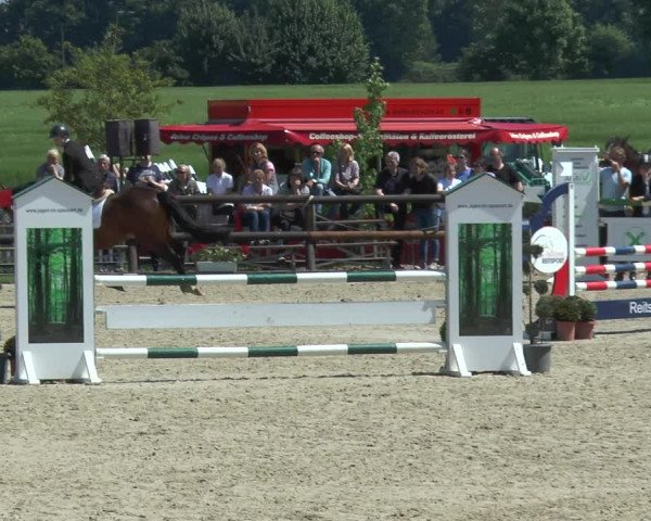 Reitturnier Kirchhellen/Stall Dieckmann 2017