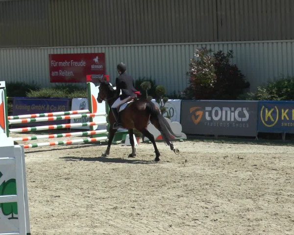 Reitturnier Kirchhellen/Stall Dieckmann 2017