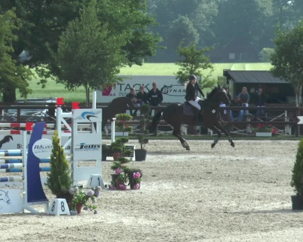 Reitturnier Kirchhellen/Stall Dieckmann 2017