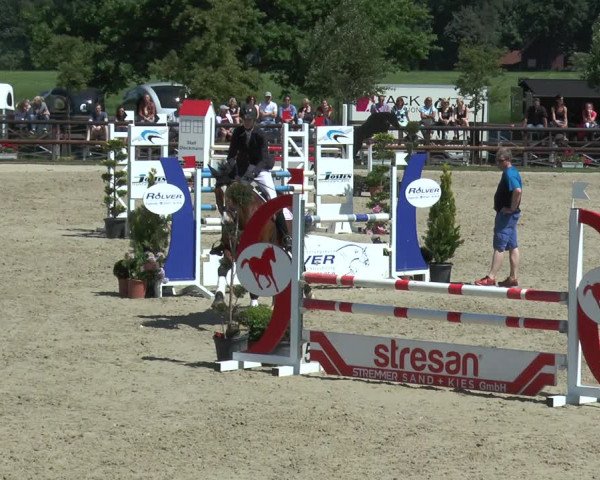 Reitturnier Kirchhellen/Stall Dieckmann 2017