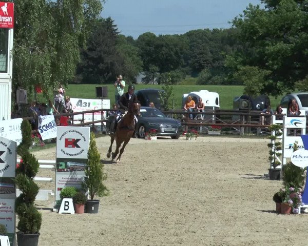 Reitturnier Kirchhellen/Stall Dieckmann 2017