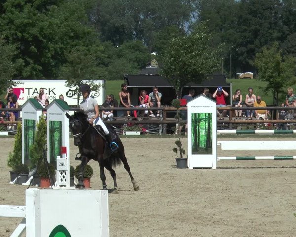Reitturnier Kirchhellen/Stall Dieckmann 2017