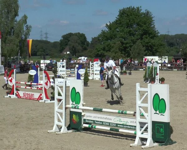 Reitturnier Kirchhellen/Stall Dieckmann 2017