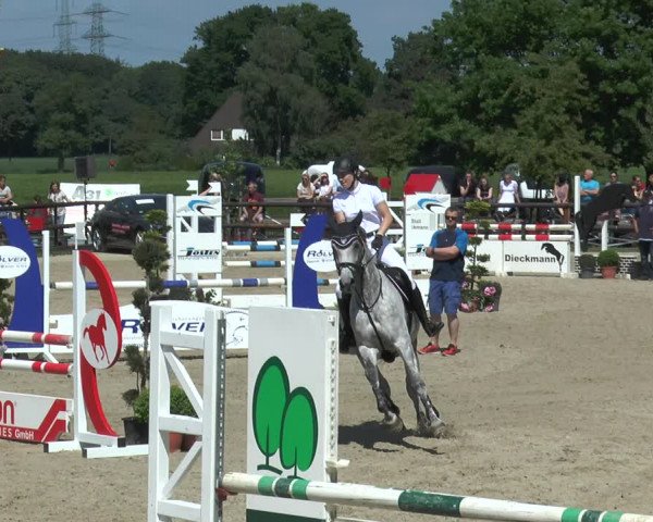 Reitturnier Kirchhellen/Stall Dieckmann 2017