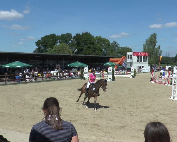 Reitturnier Kirchhellen/Stall Dieckmann 2017