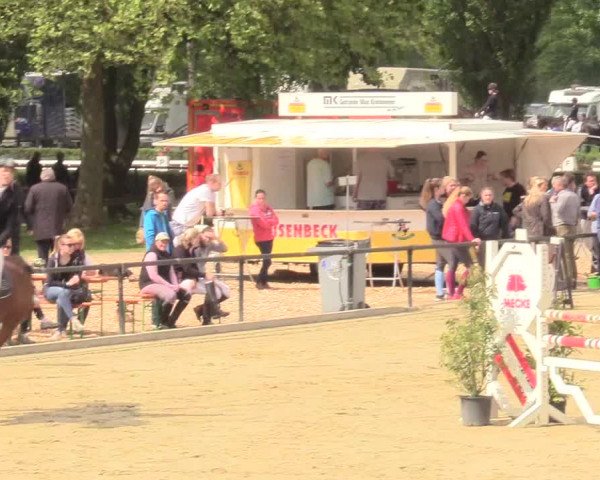 Reitturnier Hamm-Rhynern 2017