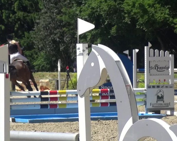 Reitturnier Burscheid-Paffenlöh 2017