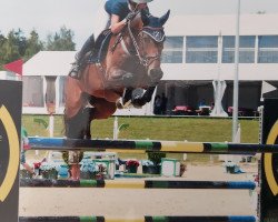Springpferd Cazallo du Praz Bozon (Schweizer Warmblut, 2013, von Concord Z)