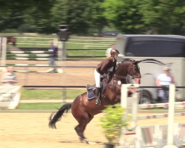 Reitturnier Hamm-Rhynern 2017