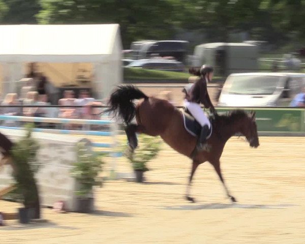Reitturnier Hamm-Rhynern 2017