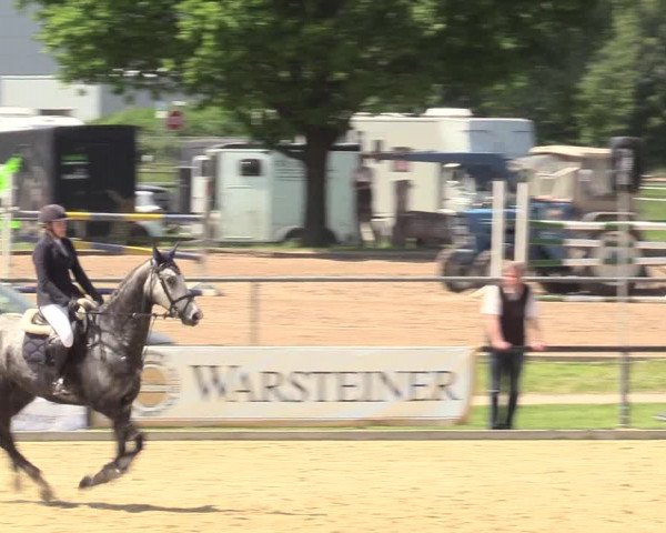 Reitturnier Hamm-Rhynern 2017