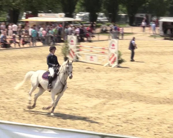 Reitturnier Hamm-Rhynern 2017