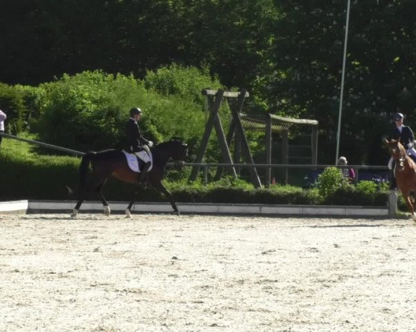 Reitturnier Kurtscheid 2017