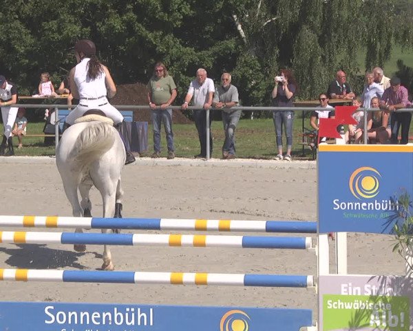 Springturnier Sonnenbühl-Undingen 2021