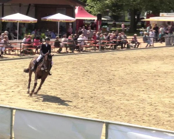 Reitturnier Hamm-Rhynern 2017