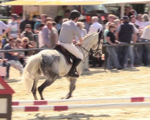 Reitturnier Hamm-Rhynern 2017