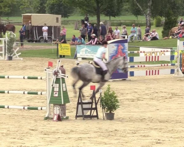 Reitturnier Hamm-Rhynern 2017