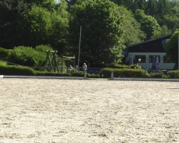 Reitturnier Kurtscheid 2017