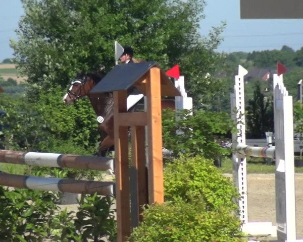 Reitturnier Burscheid-Paffenlöh 2017