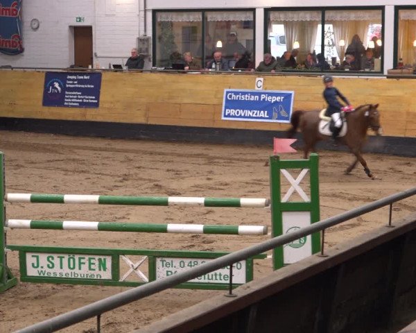 Reitturnier Heide 2021