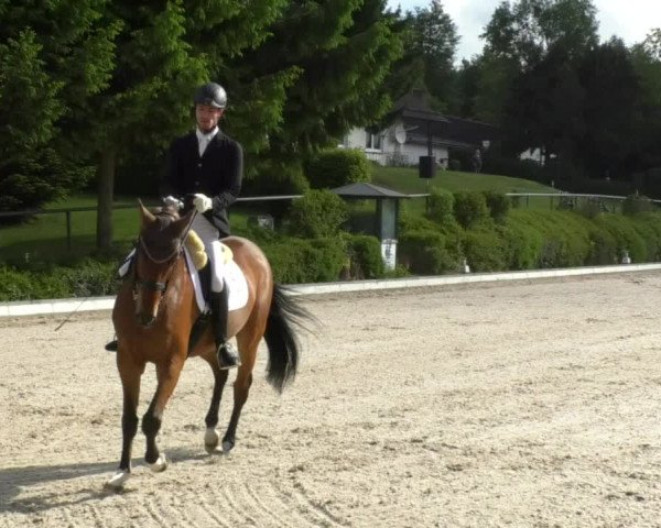 Reitturnier Kurtscheid 2017