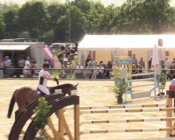 Reitturnier Hamm-Rhynern 2017