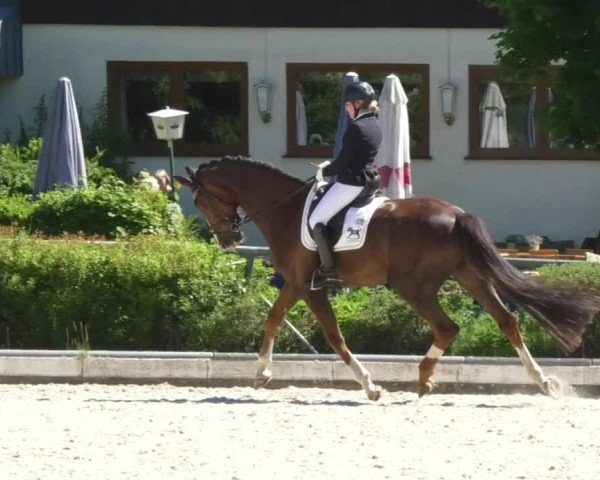 Reitturnier Kurtscheid 2017