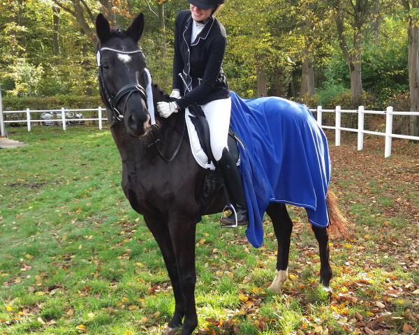 broodmare Wornebie (Hanoverian, 2009, from Wunschtraeumer)