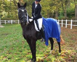broodmare Wornebie (Hanoverian, 2009, from Wunschtraeumer)