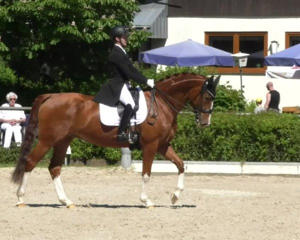 Reitturnier Kurtscheid 2017