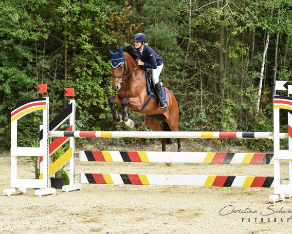 jumper Chacko F (Württemberger, 2011, from Ciacomo)