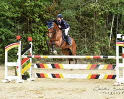 jumper Chacko F (Württemberger, 2011, from Ciacomo)