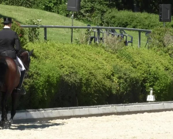 Reitturnier Kurtscheid 2017