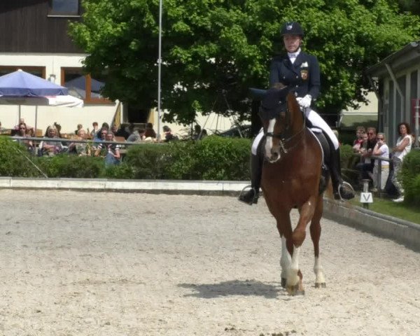 Reitturnier Kurtscheid 2017