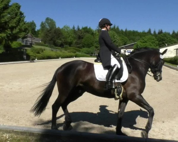 Reitturnier Kurtscheid 2017