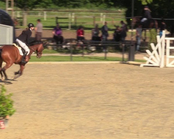 Reitturnier Hamm-Rhynern 2017