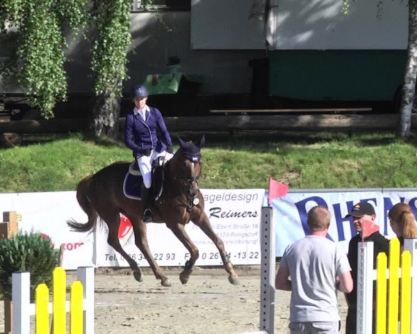 Reitturnier Kurtscheid 2017